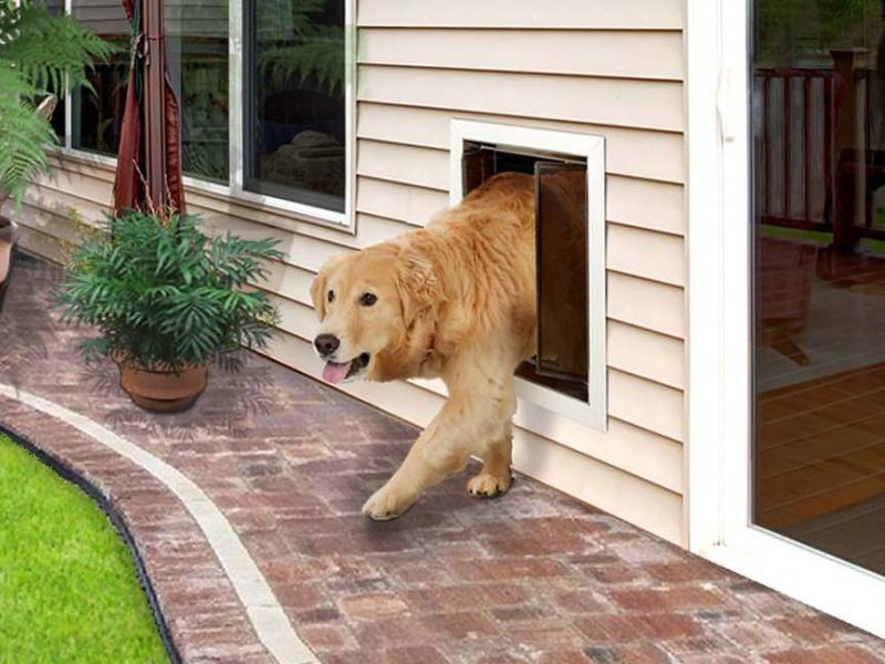 PlexiDor Dog Doors