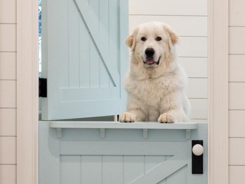 dutch door